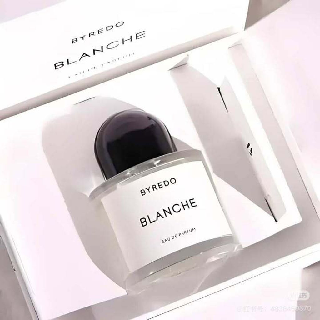 481580037_611008288497822_4645148419671702783_n