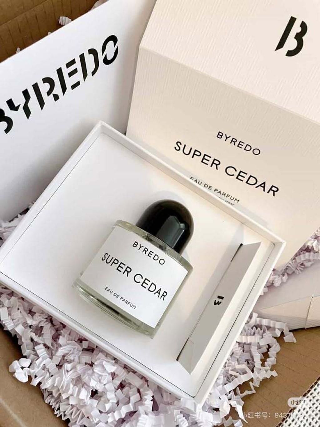 482000105_3670954633210133_2731803403444391547_n