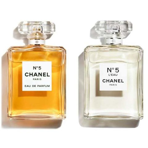 482823204_674325108355319_5689744154626725159_n