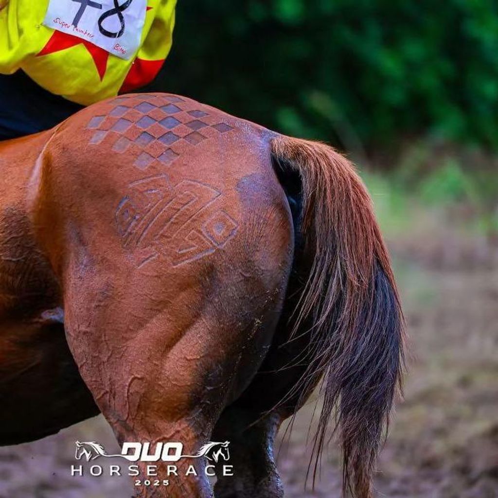 763a450e84514267a899d92cae3a00e9~tplv-aphluv4xwc-origin-jpeg