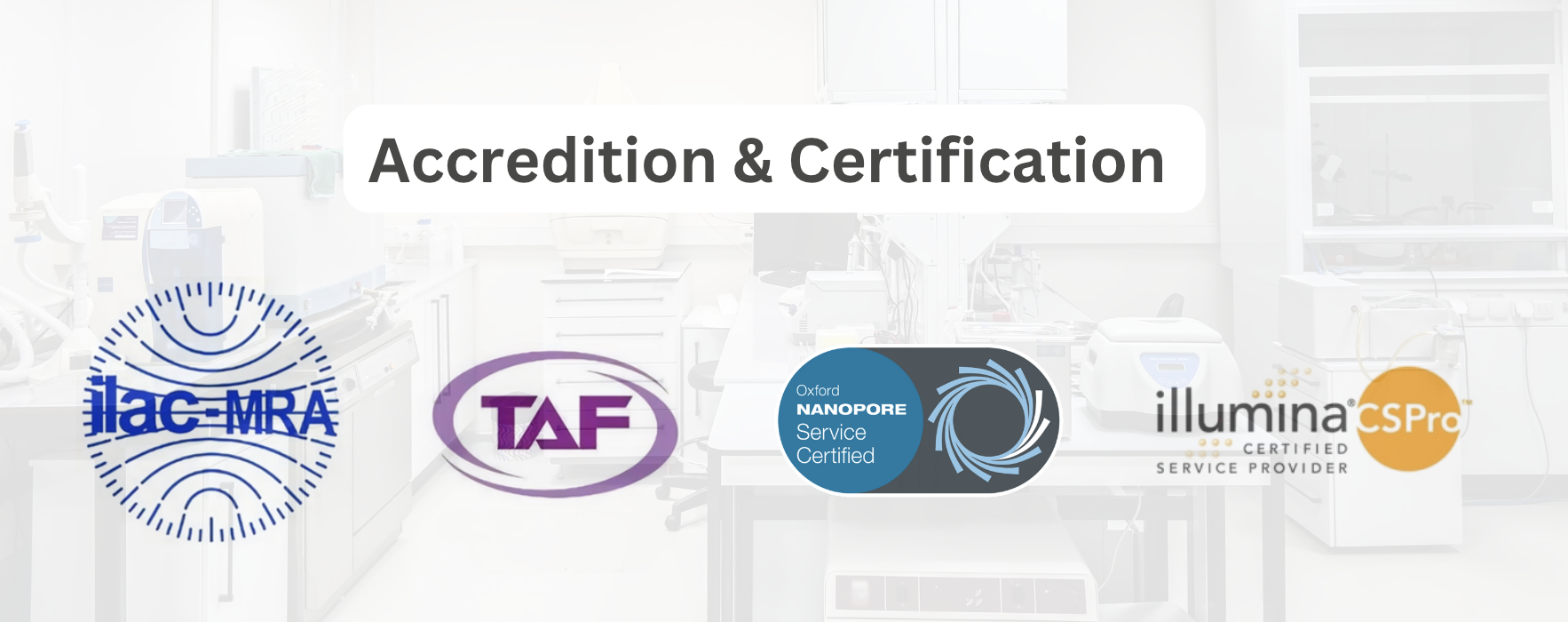 Screenshot 2025-03-29 at 12.36.01 PM