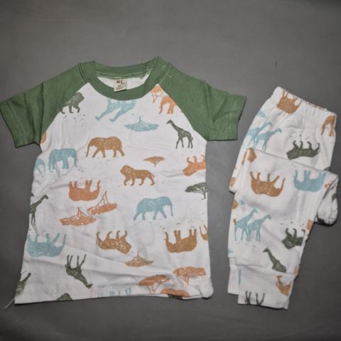 IMG-20241120-WA0004