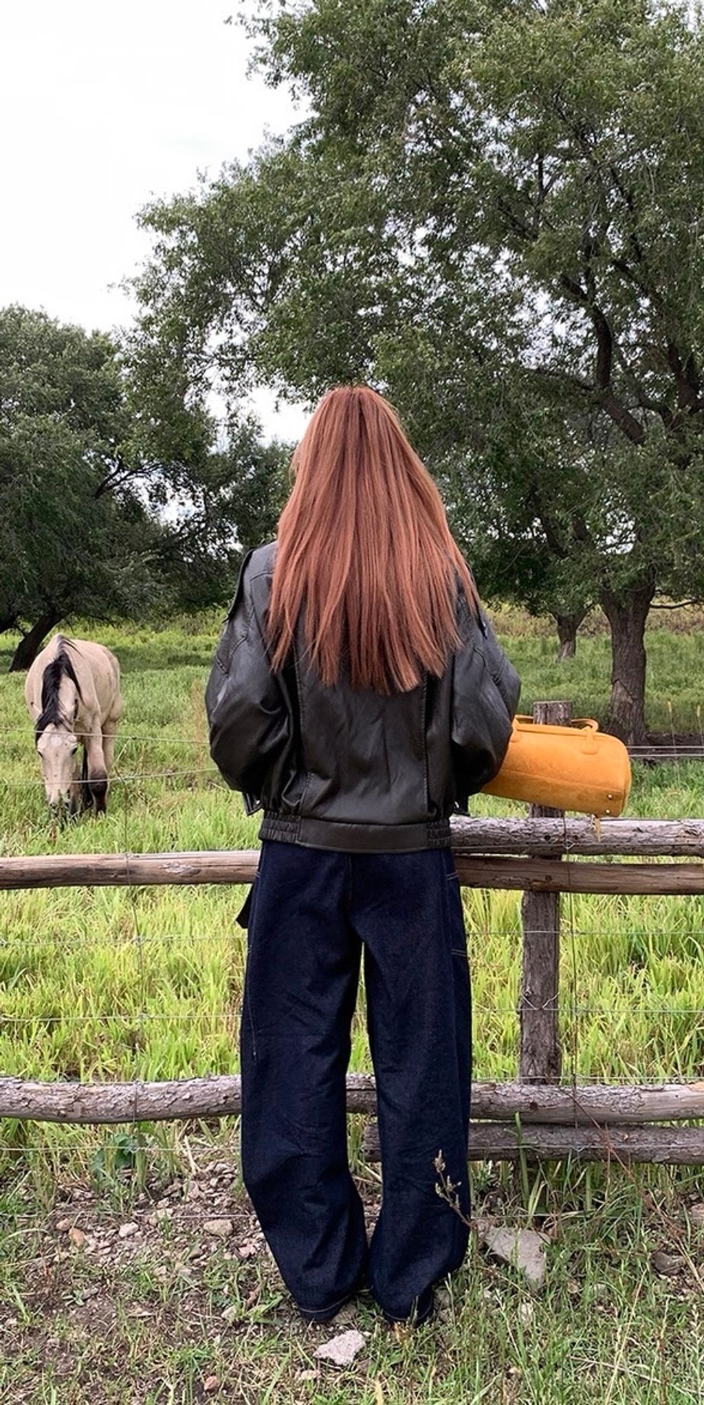 相片 2025-10-28 晚上9 49 31 (5)