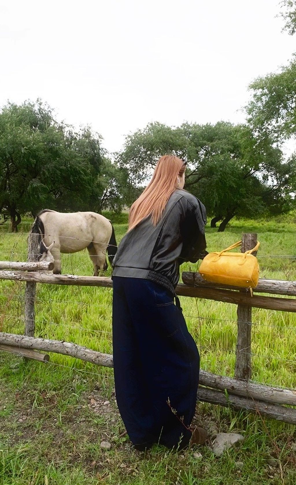 相片 2025-10-28 晚上9 49 31 (2)