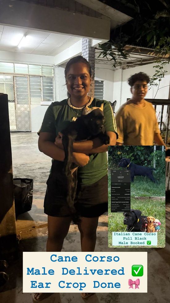 Spotlight ! 🎊 | Grandepuppystore