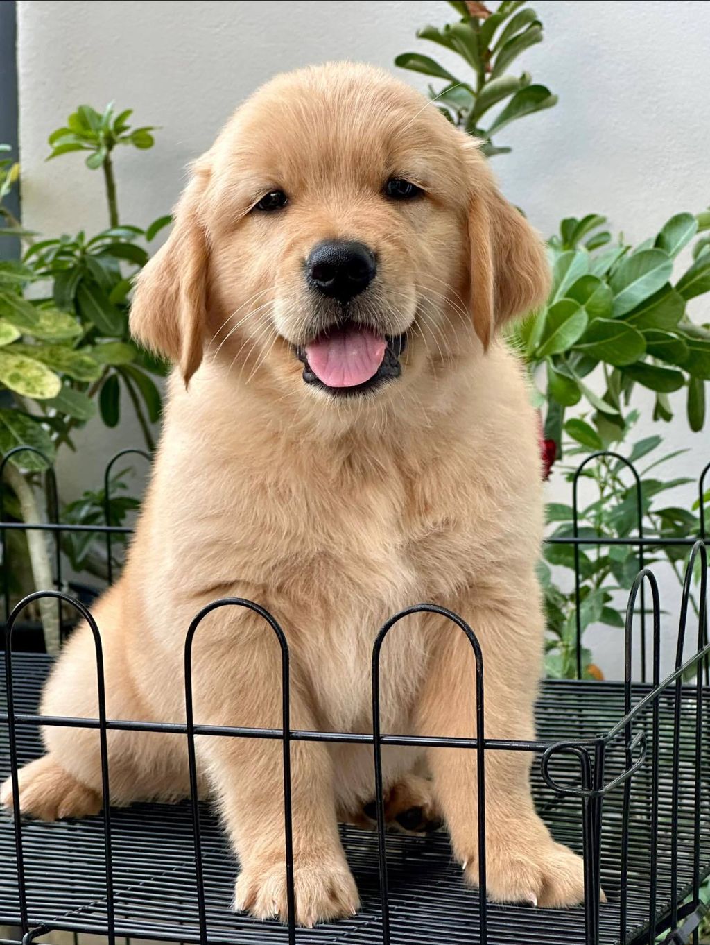 462678644_504723449044848_8875764626250030553_n