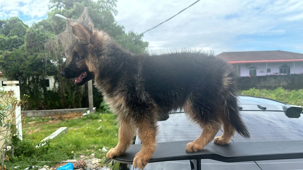 AD98CDE4-A912-4AB6-9E09-3EA8386DE4E0