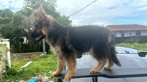 AD98CDE4-A912-4AB6-9E09-3EA8386DE4E0