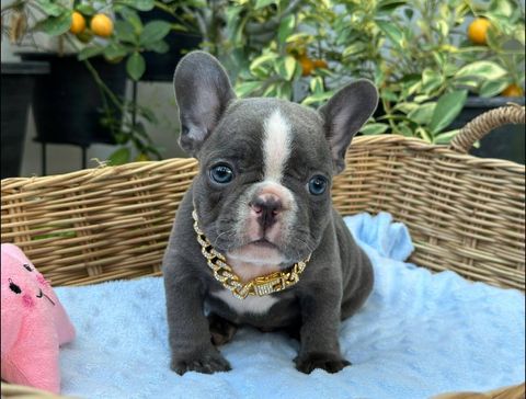 462722183_505511505632709_5601016949048781109_n