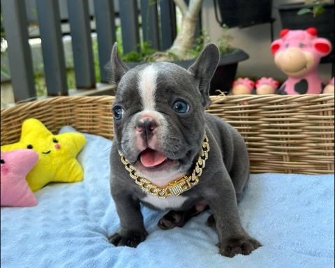 462690999_505511682299358_2417040642011429889_n