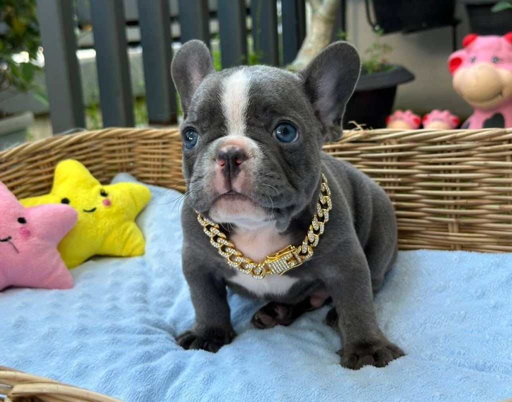 462763496_505511775632682_4941988945899508213_n