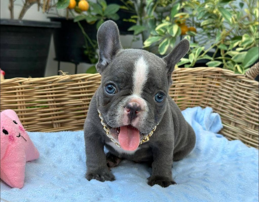 462696339_505511365632723_3245306440578065131_n