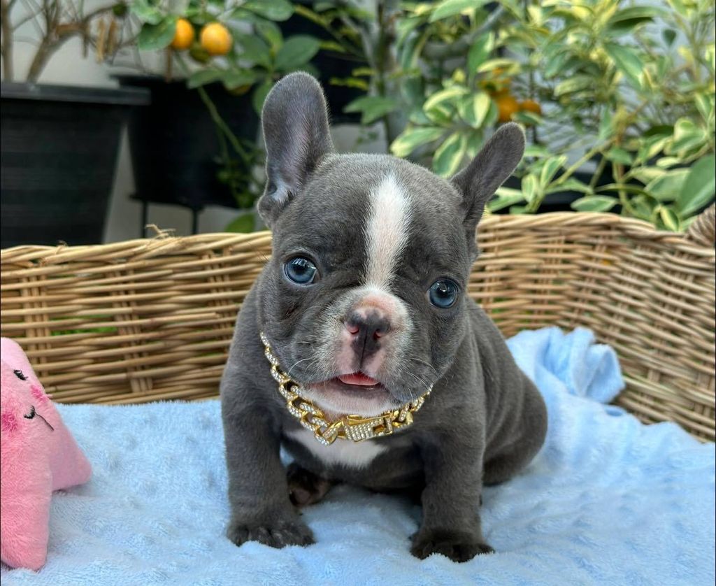 462799857_505512162299310_44607882191230744_n