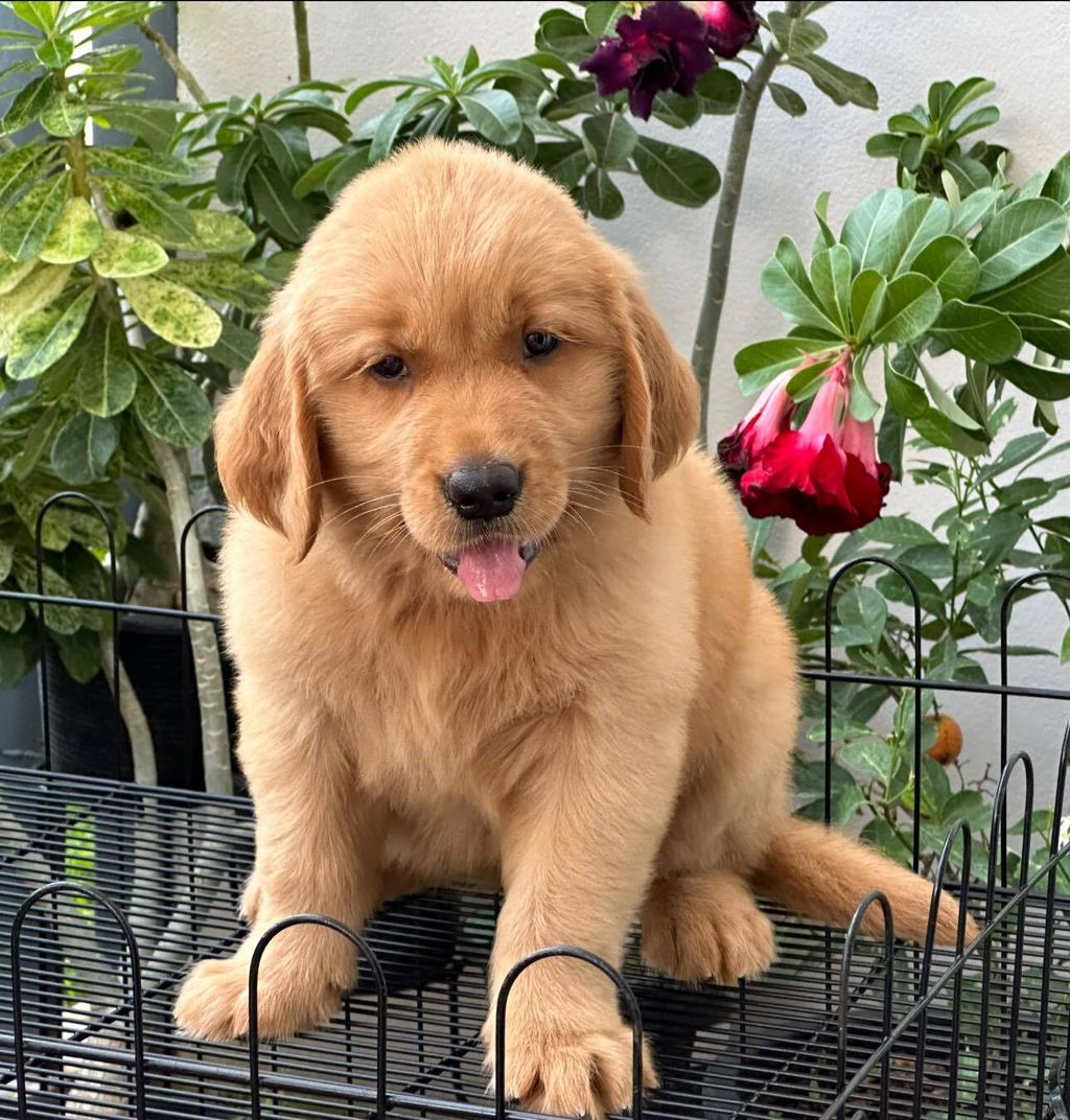 462715843_504721739045019_7238801058485435461_n