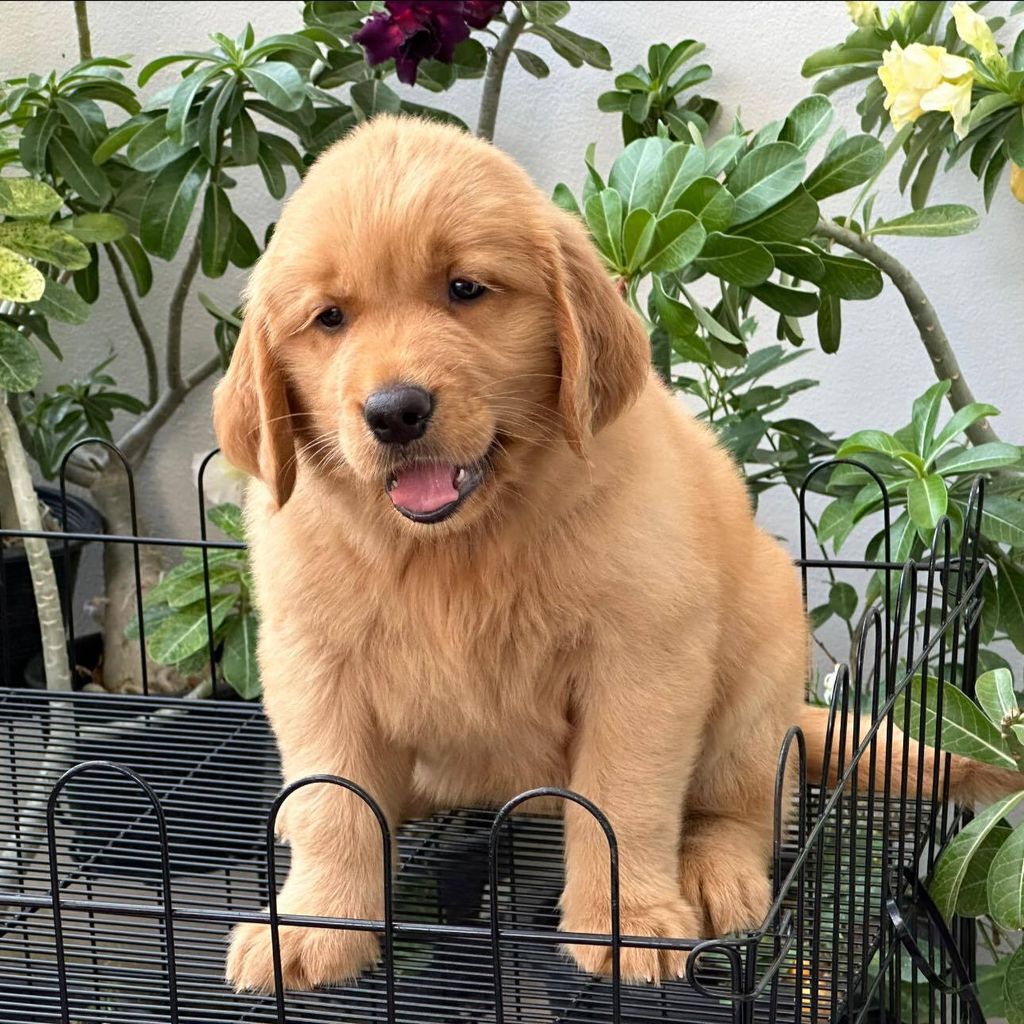 462751168_504721612378365_7511070025725043633_n