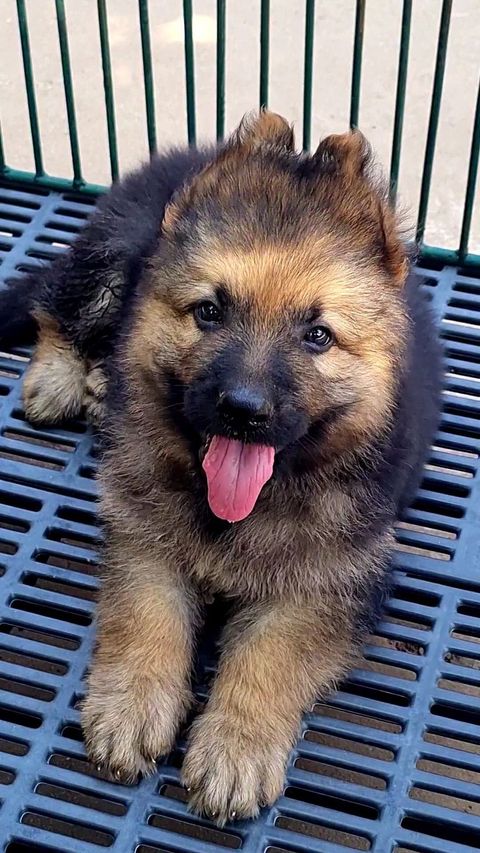 462715238_548097507874658_4826508843578370402_n