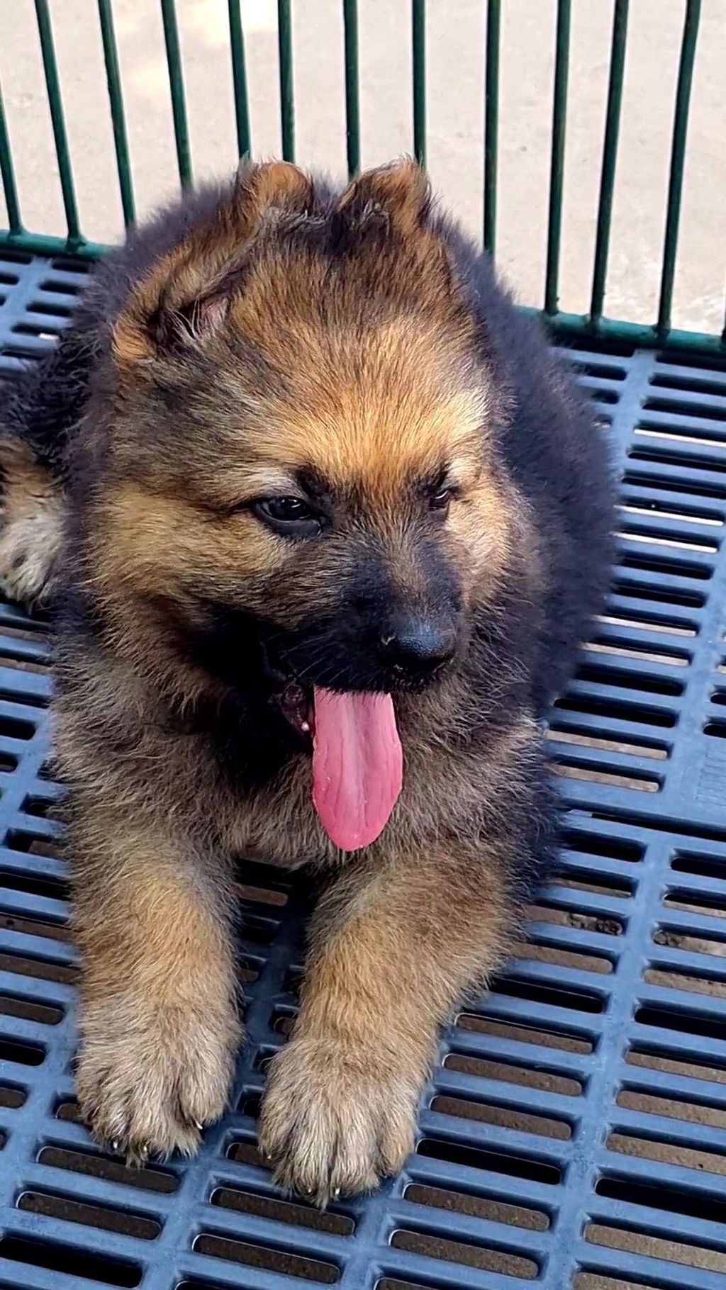 462753161_548097577874651_5201415282992155536_n