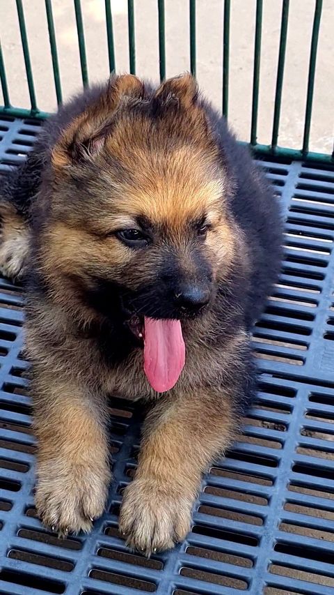 462753161_548097577874651_5201415282992155536_n