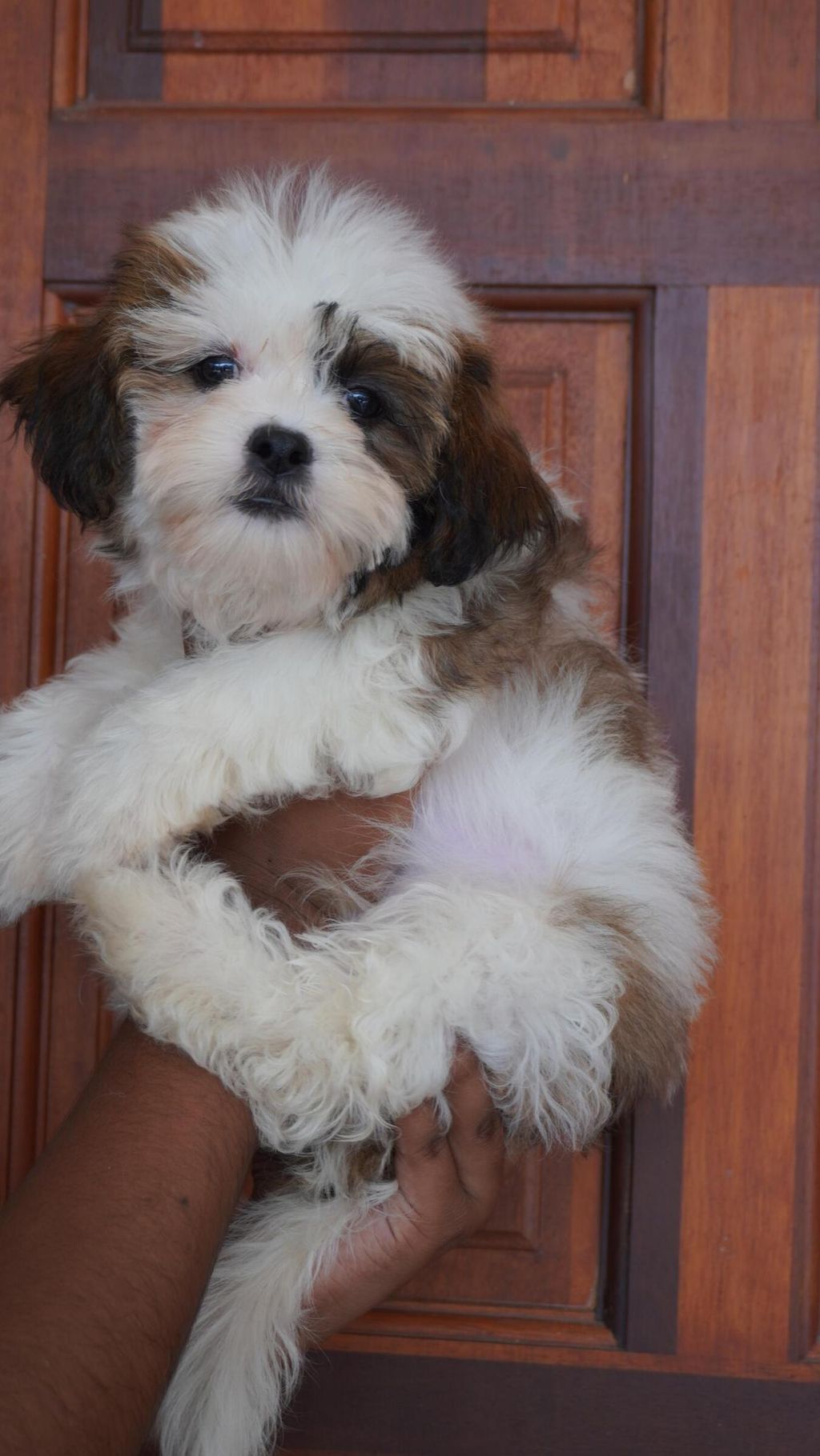 717d85fe-2d8d-4449-83fb-94a01f61729d