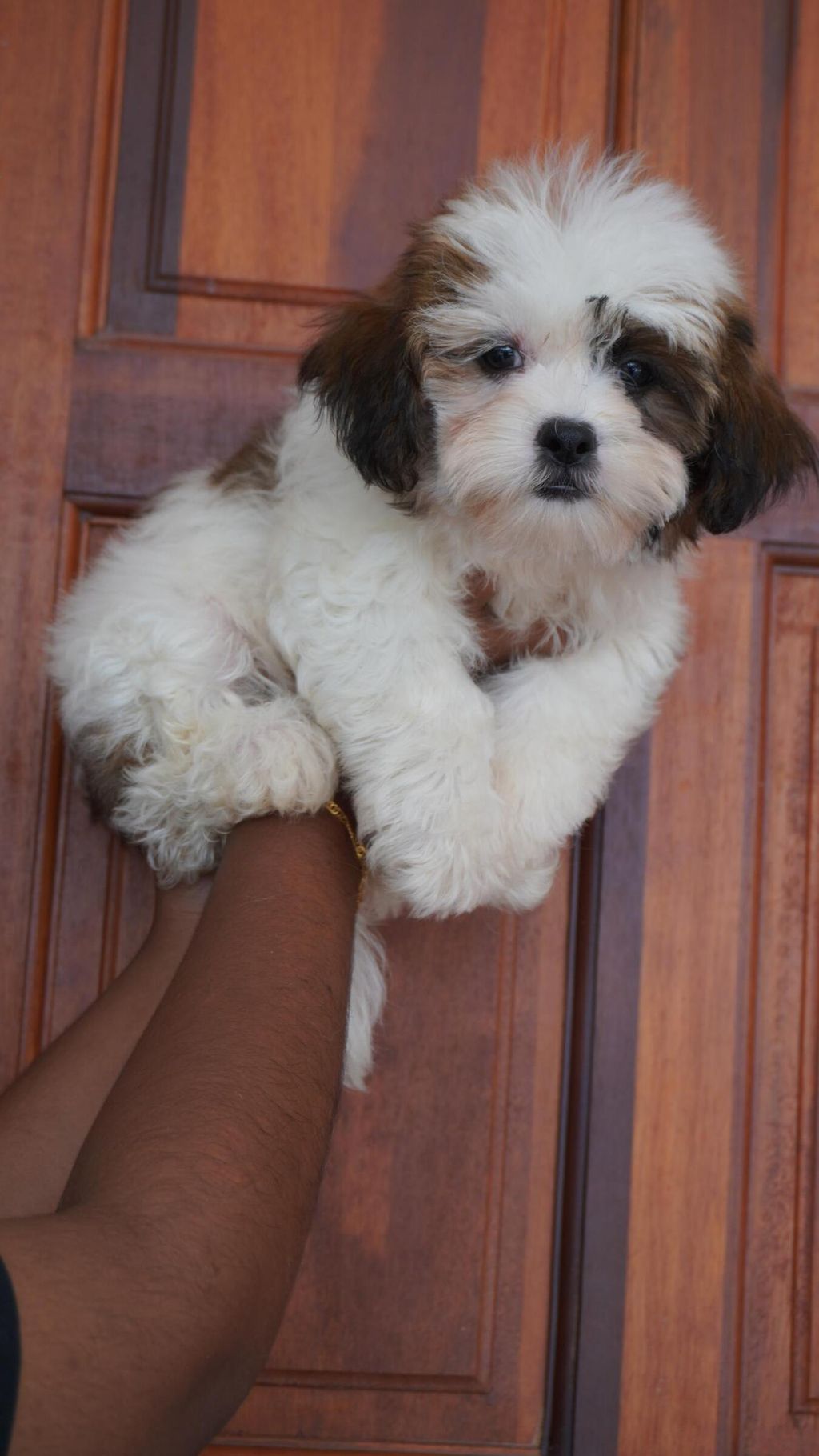 9a522b25-eee6-494f-82b2-581e9978d6bd