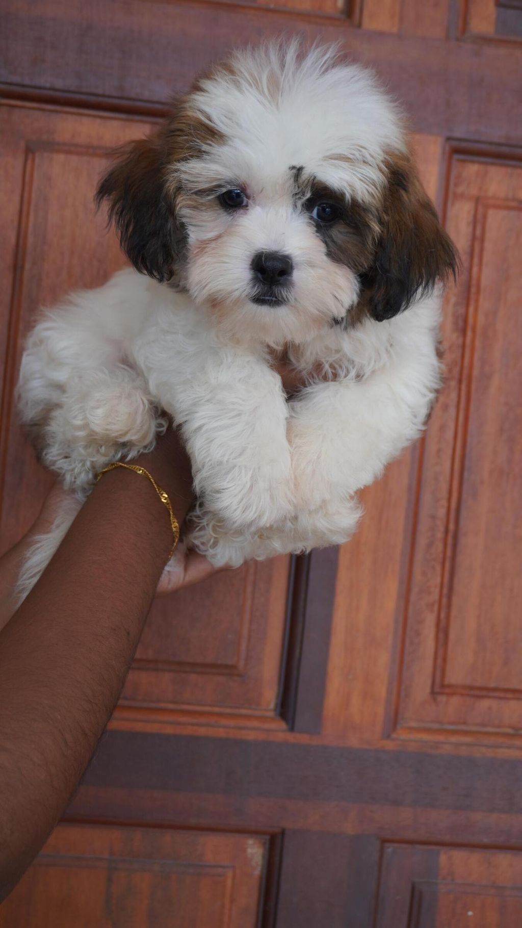 f0c9afd2-f2fc-4bac-a44b-51bb5303f8b0