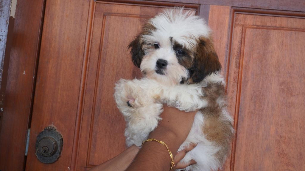 096bd7a6-86f5-47cc-a31c-0a0b55836d42