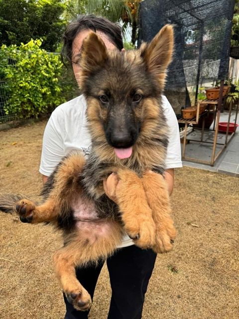 835a542e-0be6-465f-9336-16a3feb72d46-1728889083909