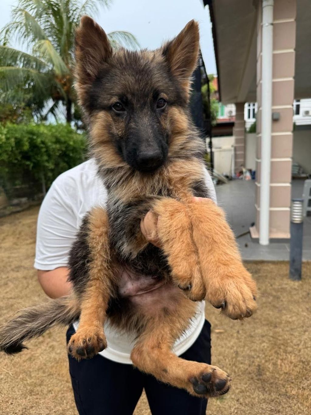 fb354160-30de-4834-b350-0dededb59dd2-1728889083969