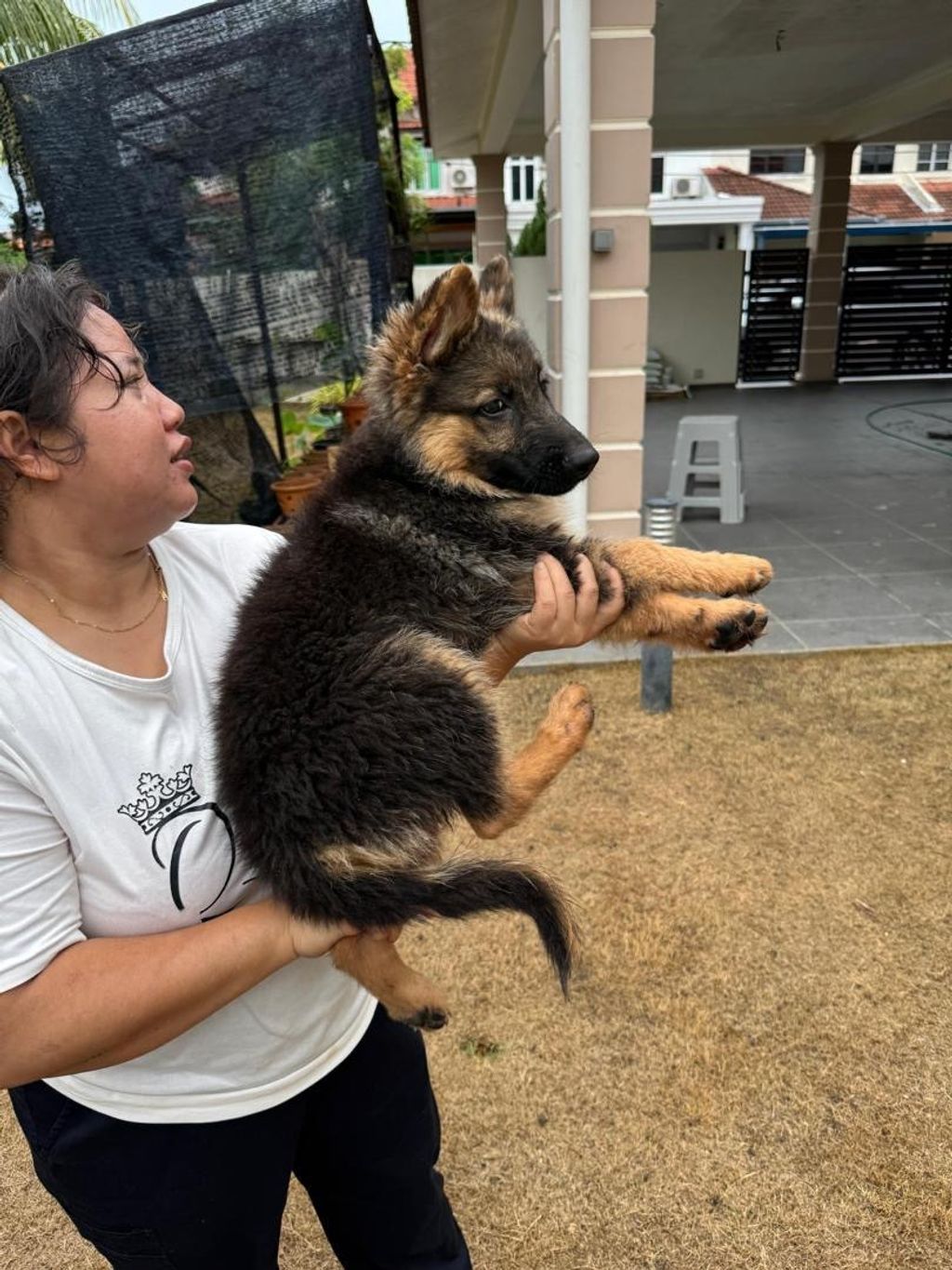 3e0a2d0f-6f9d-41a2-b075-469c1b4462ce-1728889083939