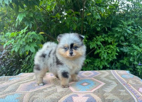 IMG_2383-1728889664236