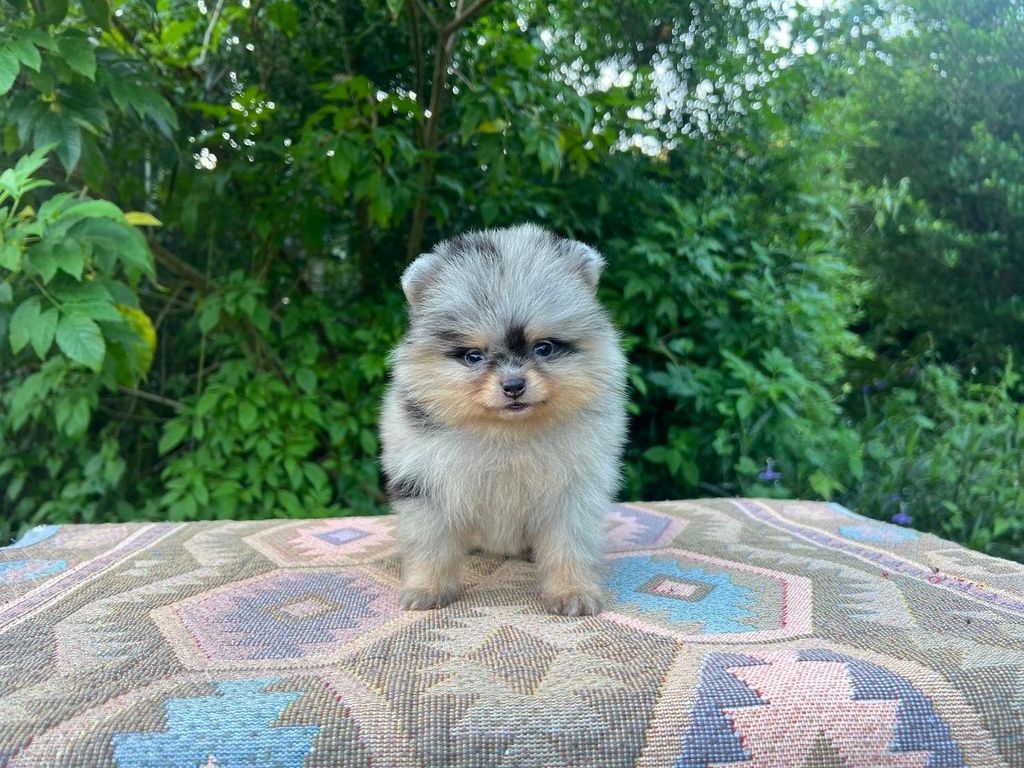 IMG_2382-1728889664239