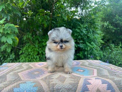 IMG_2382-1728889664239