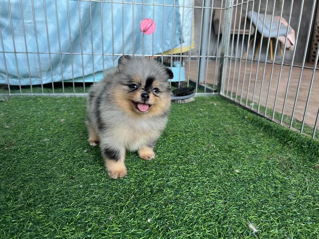 IMG_2384-1728889664240