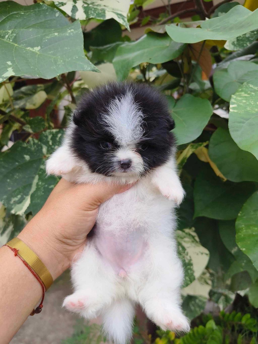 IMG_2392-1728893499620