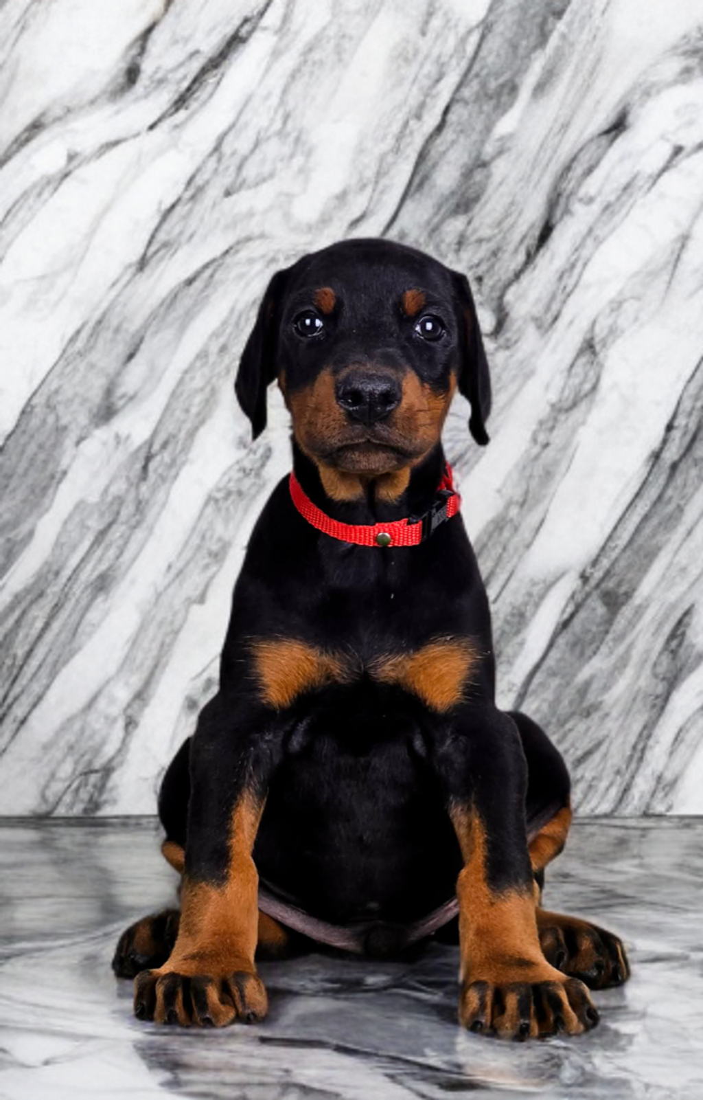 image_A2AD6594-266E-4B3E-A18A-75C777744C51_1766900503