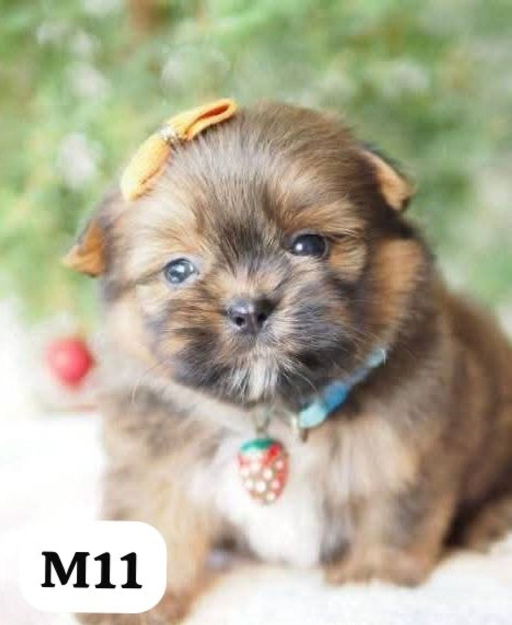 image_5F171C0B-E500-4293-A681-59B69ECC9DE8_1767163855