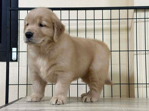 image_09A46794-1D52-4A05-B5AF-63F89796CDE3_1767163994