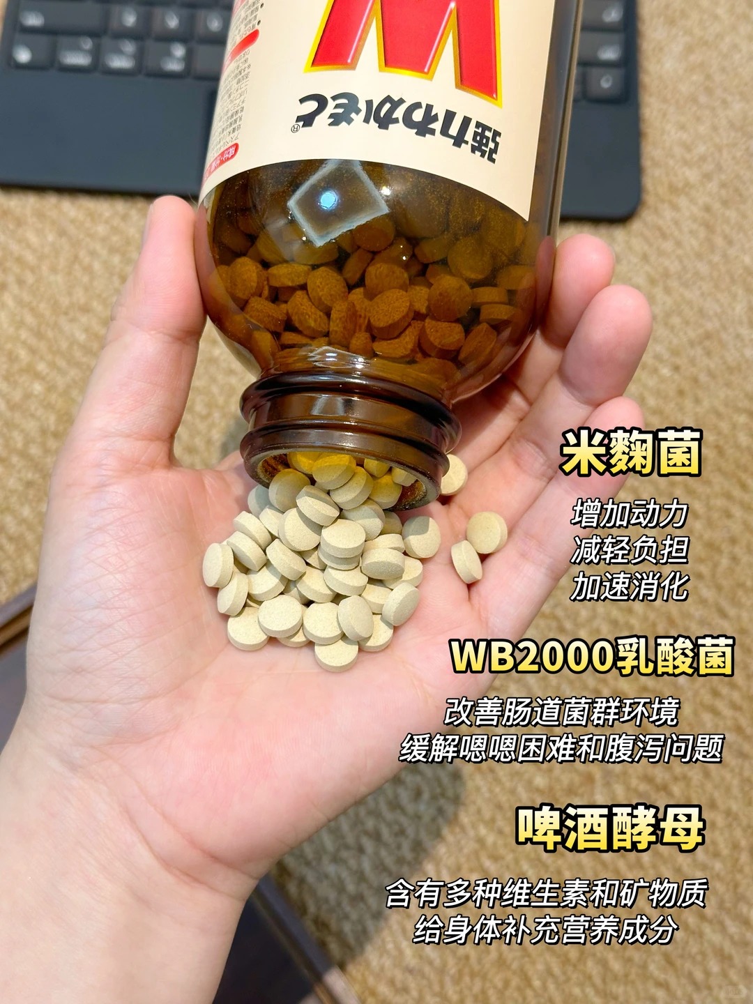 霓虹国你嘴真严啊！！终于把益生菌吃明白了！！_4_小羊羔崽子_来自小红书网页版