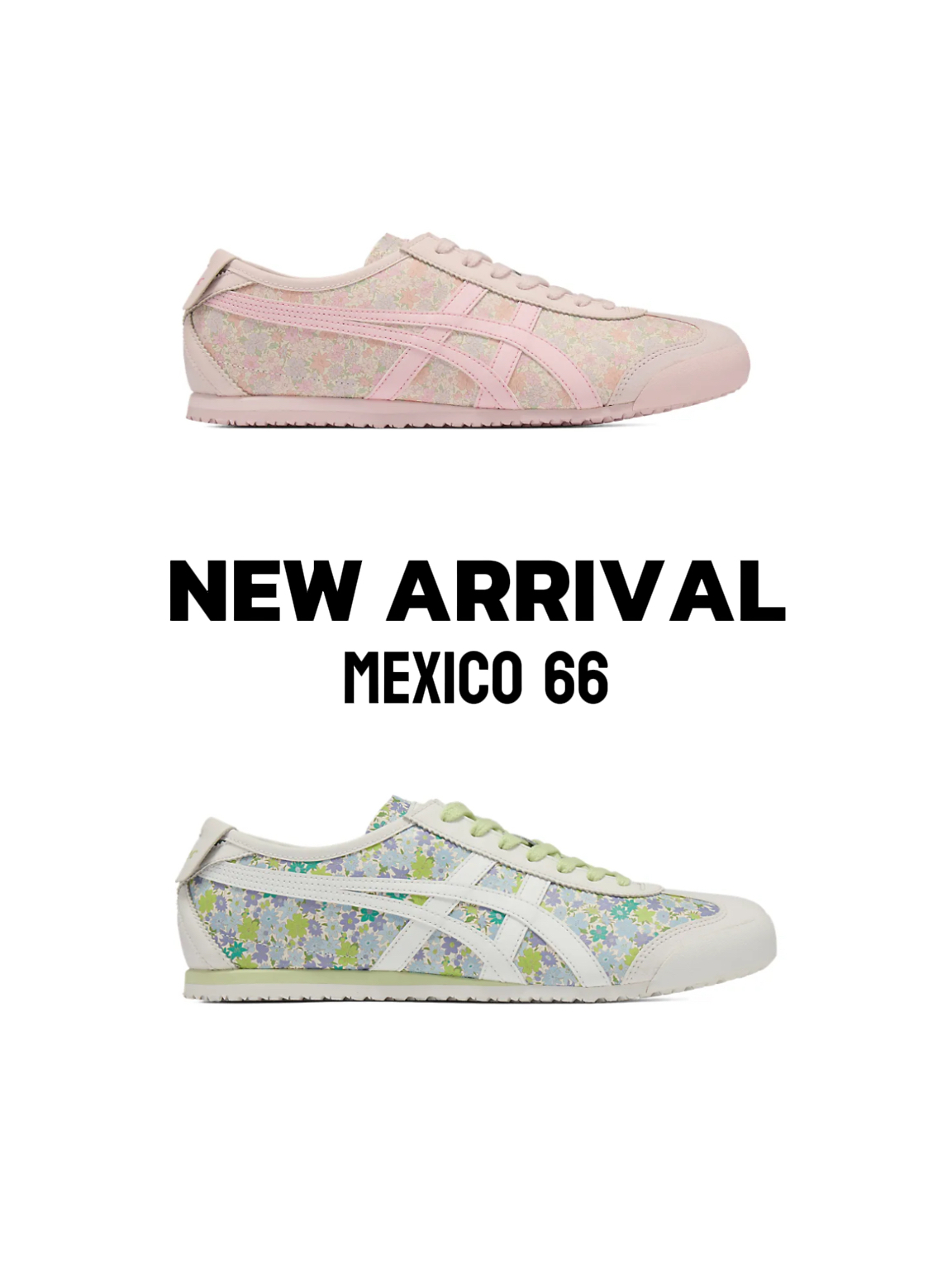 image_321E3A9C-C3C7-4DC1-83EE-A4B08AEF0DAE_1775291691