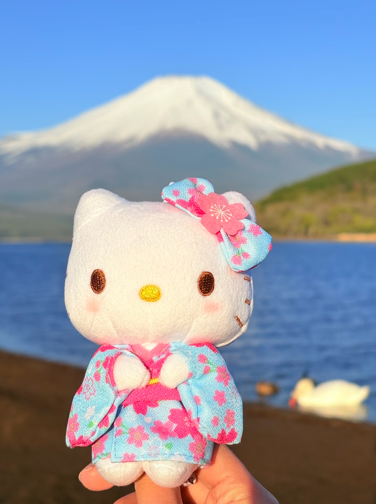 image_E84C79CA-A332-41C7-A2A2-5772681413E1_1775754237