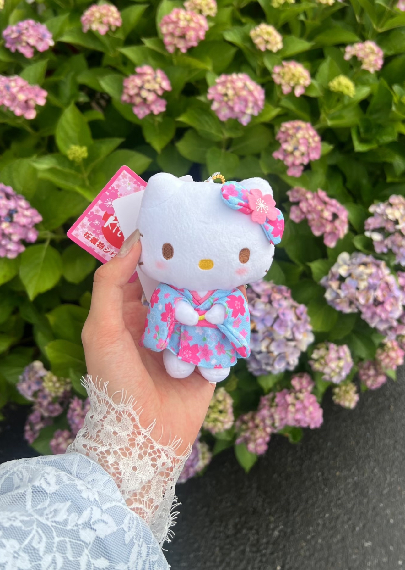 image_FAF0E661-16BA-479D-A133-2BB30349836A_1775754237