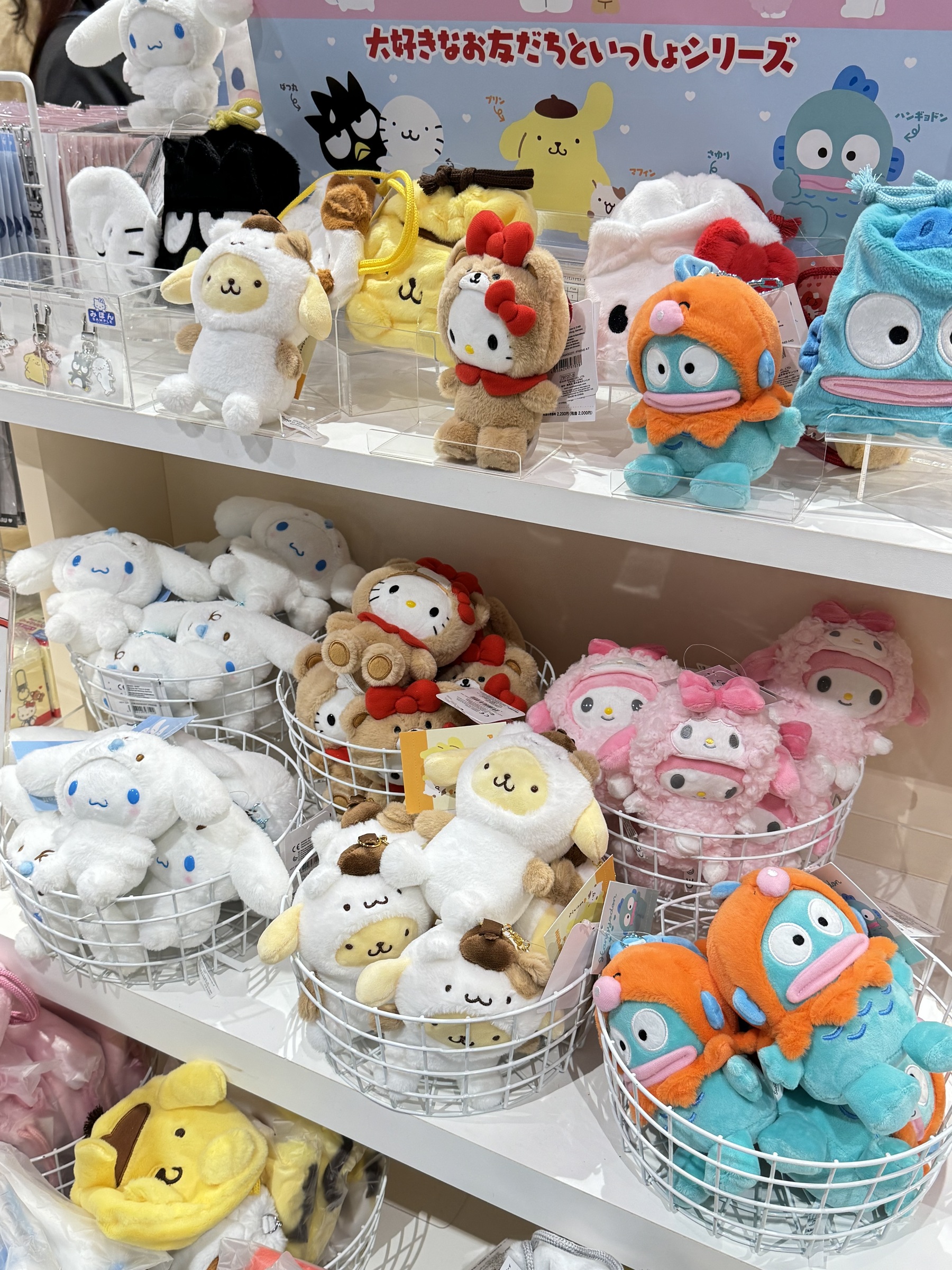 image_577B5186-45C5-4139-9AB2-8BAAED8D8FAF_1775821819