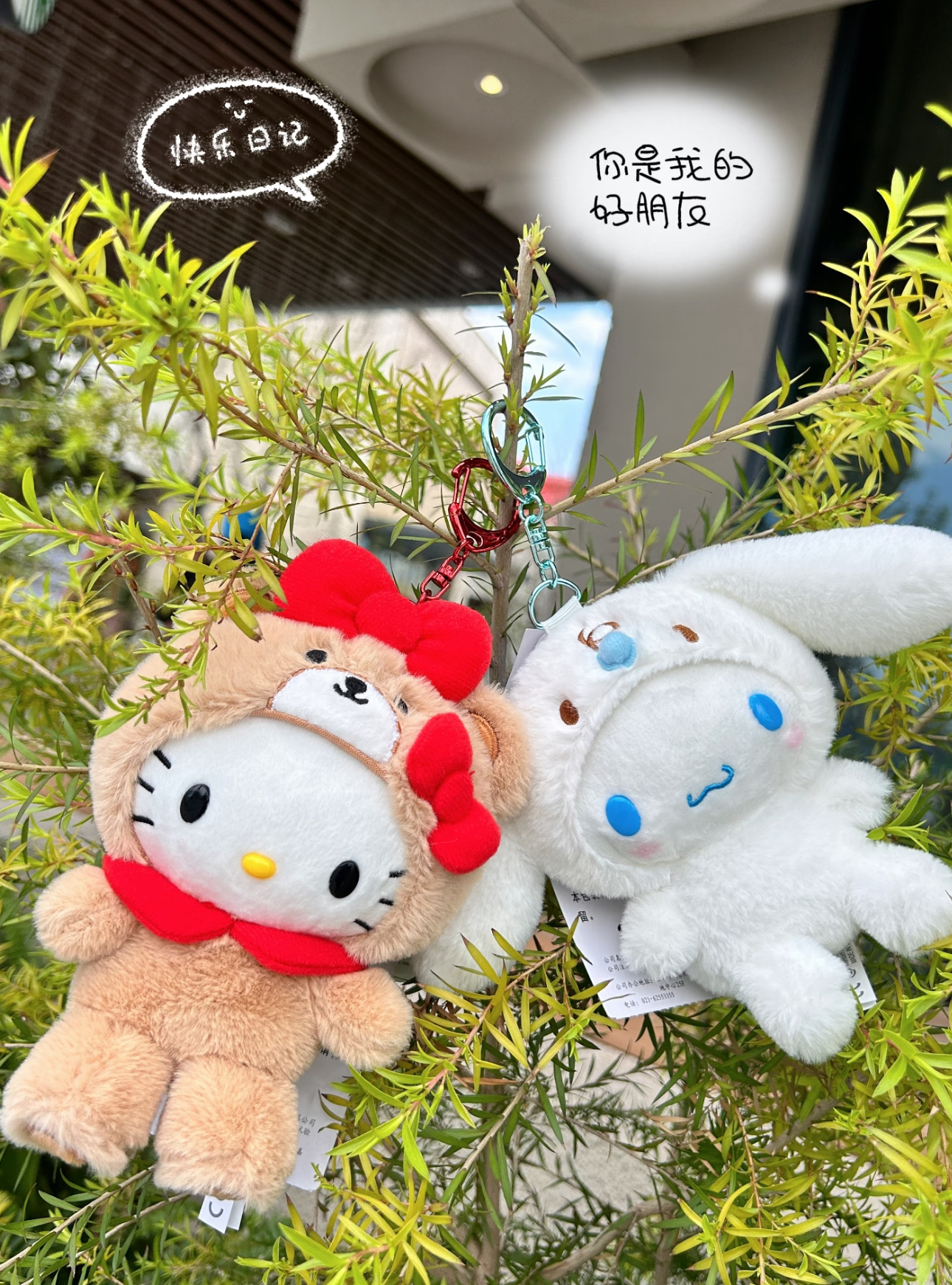 image_5F0F4BB8-95BE-4CC6-B230-11E638846A30_1775821873