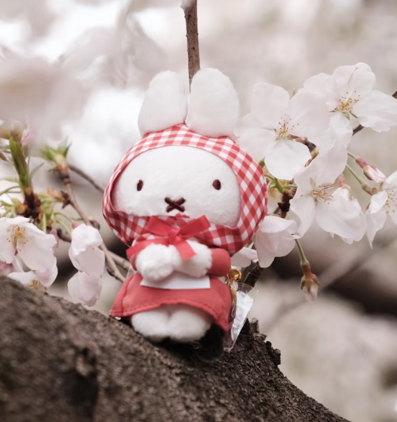 image_C20D7499-E60E-4273-809A-DB714335A61D_1775908599