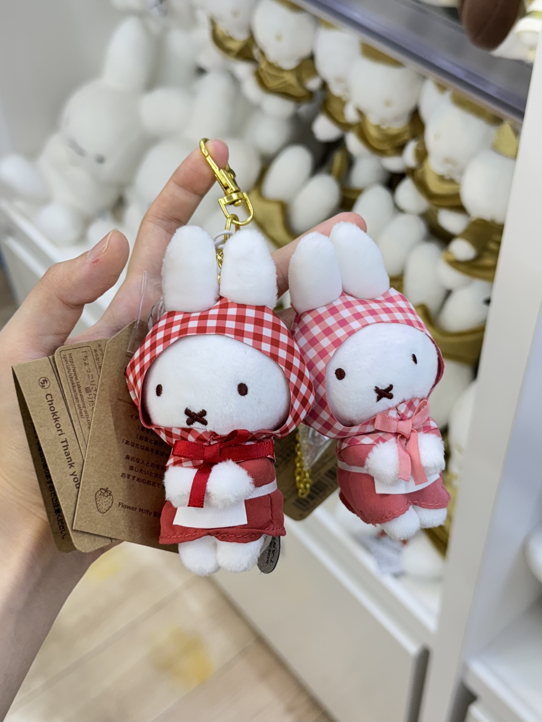 image_C8734F85-EFDF-4F16-95A2-834F0AB7AD15_1775908599