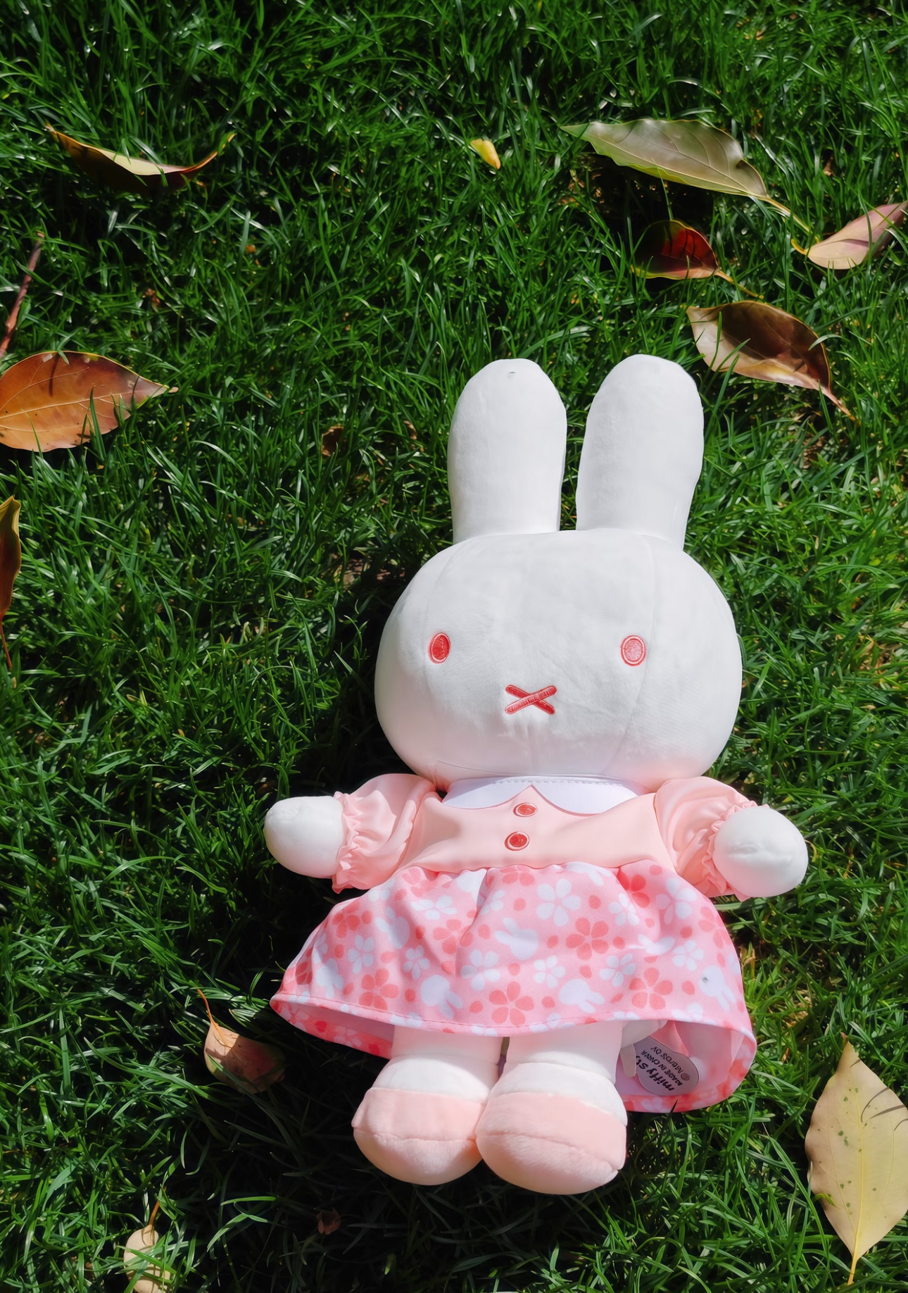 image_7B100EB2-3604-4566-BA0E-D64E379A44F1_1775909122