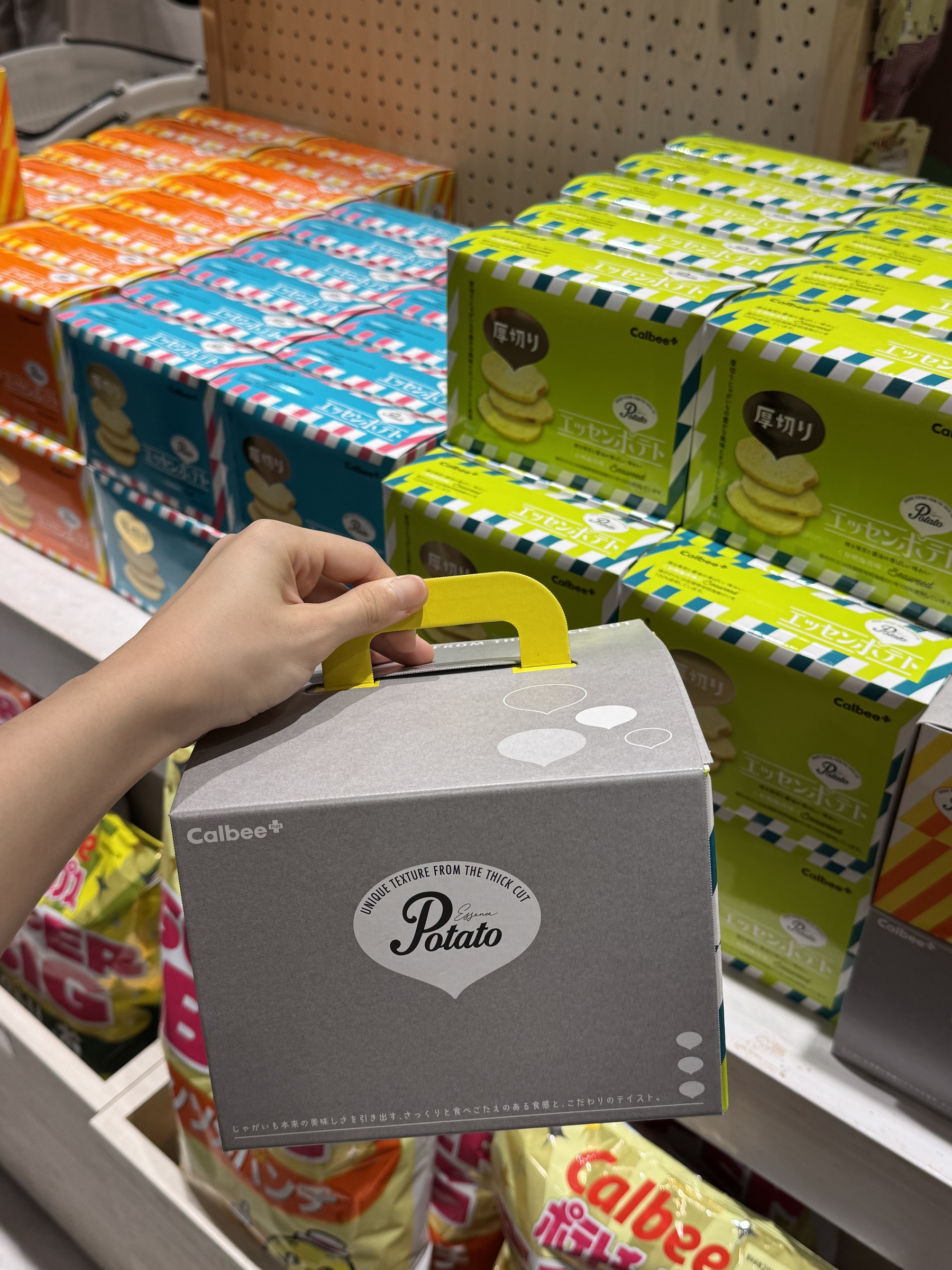 image_EF47C6BB-B9FA-4515-928F-776DDCC597BC_1775916658