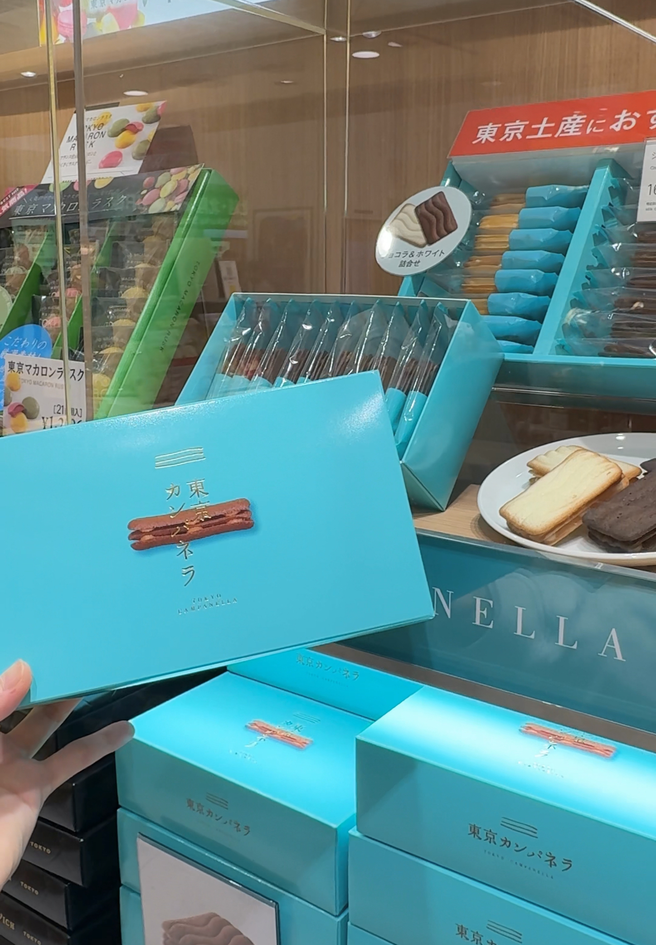 image_AF6479FB-0C9B-4507-9084-6EB60245DB36_1776015825