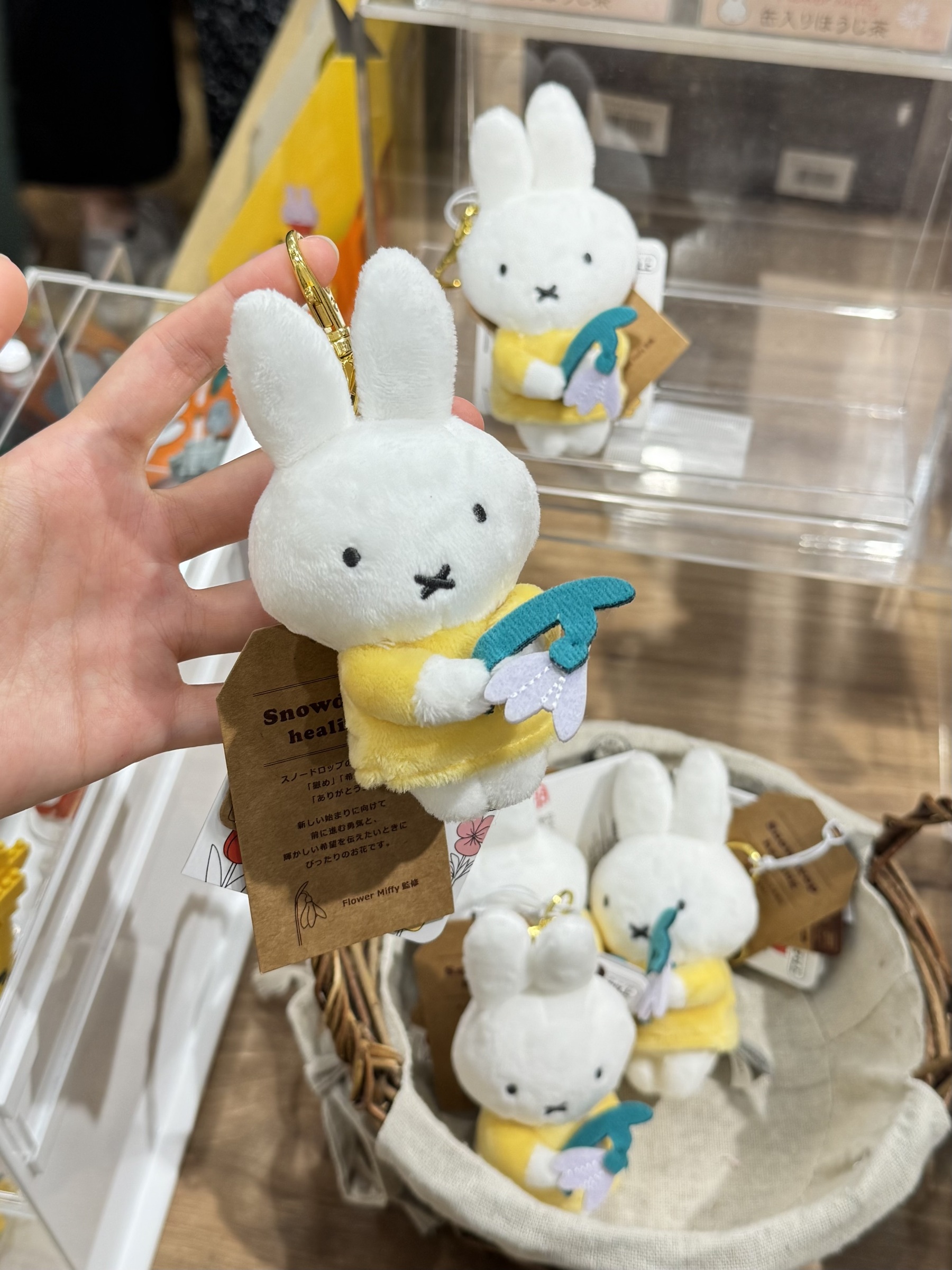 image_684E147C-C0C4-4AF1-90E7-FFD02E50C851_1776056293