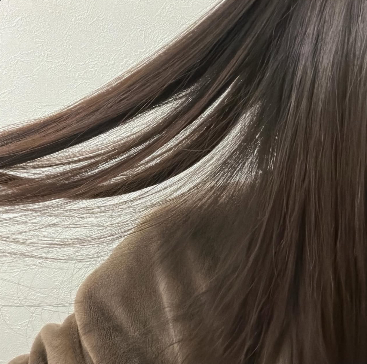 image_7478A9DC-7571-46AC-B2D7-799CBCE91E32_1776156425